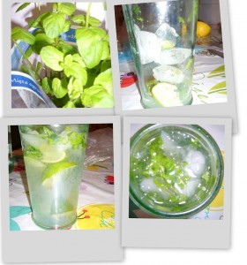 mojito